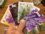 Imagem de Coleção Card Game Pencil First Games Herbaceous Set 14+