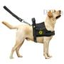Imagem de Coleira De Cachorros Grandes Porte Peitoral Com Bolso Lateral + Guia Com Mola Amortecedora Para Cães Labrador Rottweiler