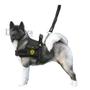 Imagem de Coleira De Cachorros Grandes Porte Peitoral Com Bolso Lateral + Guia Com Mola Amortecedora Para Cães Labrador Rottweiler