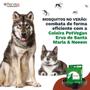 Imagem de Coleira Erva de Santa Maria e Neem Cães de 8kg a 15kg - 2 Un