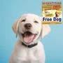Imagem de Coleira free dog filhote  anti pulga para cães  citronela 