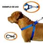 Imagem de Coleira para Cachorro Cães Grandes Golden Pit Bull Terrier Husky com Peitoral PET com Guia Azul
