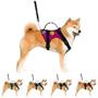 Imagem de Coleira Para Cachorro Grande Peitoral Pet Tático Para Cães Regulável Resistente Com Alça E Guia De Passeio Com Mola