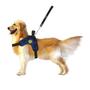 Imagem de Coleira Para Cachorros Com Guia De Passeio Para Pitbull + Cinto De Segurança Regulável Peitoral Americano Para Cães