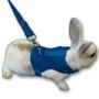 Coleira Peitoral Aerado de Hamster Cor ul P - Nicapet Imagem de Coleira Peitoral Aerado de Hamster Cor ul P - Nicapet