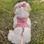 Imagem de Coleira peitoral para cachorro pet com guia gato poa rosa