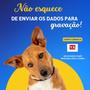 Imagem de Coleira + placa identificação pet plaquinha cão cachorro