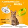 Imagem de Coleira  + plaquinha identificação pet gato personalizado