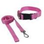 Imagem de Coleira Premium Com Guia 1,00M Nylon - M Cor Rosa 54003