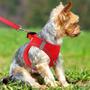 Imagem de Colete de malha respirável Joytale Step-in Dog Harness