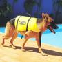 Imagem de Colete Salva Vida Ativa Cachorro Pet Tamanho P - 5 A 9 Kg