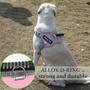 Imagem de Colete Service Dog DOGMIFY No Pull in Training com conjunto de coleira