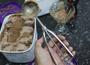 Imagem de Colher de sorvete sobremesa em aço inox 21Cm pegador sorvete concha bola uni 15285-4