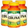 Imagem de Colina Vitamina B8 60 cápsulas Kit com 3