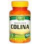 Imagem de Colina Vitamina B8 60 cápsulas