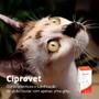 Imagem de Colírio Ciprovet Labyes para Cães e Gatos - 5 mL