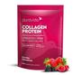 Imagem de Collagen Protein Colágeno Sabor Berries Silvestres 450g Puravida