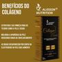 Imagem de Collagen Secrets Colágeno Hidrolisado Tipo 1 + Vitaminas C E A Zinco Selênio - Alisson Nutrition