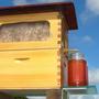 Imagem de Colmeia Automática Flow Auto Frame Honey Hive
