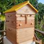 Imagem de Colmeia Automática Flow Auto Frame Honey Hive
