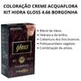 Imagem de Coloração Creme Acquaflora Kit Hidra Gloss 4.66 Borgonha