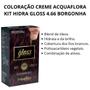 Coloração Creme Acquaflora Kit Hidra Gloss 4.66 Borgonha Imagem de Coloração Creme Acquaflora Kit Hidra Gloss 4.66 Borgonha