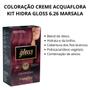 Imagem de Coloração Creme Acquaflora Kit Hidra Gloss 6.26 Marsala