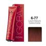 Imagem de Coloração igora royal 6-77 louro escuro cobre ext 60ml 1684443 schwarzkopf 07/11