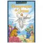 Imagem de Combo 2 Livros Clássicos da Bíblia: Ressurreição de Jesus  Infantil  SBN Crianças Infantil Evangélico Filhos Meninos Bebê Cristão Família Gospel