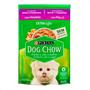 Imagem de Combo 30 Ração Úmida Dog Chow Sabor Frango para Cães Filhotes Raças Mini e Pequenas - 100g