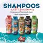 Imagem de Combo 4 Shampoo 2 em 1 Gatos CatDog & Cia - 700ml