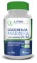 Imagem de COMBO 8 unidades - Suplemento Cálcio de Alga Marinha com Vitaminas K2 e D3 - LITHOLIFE