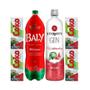 Imagem de Combo Gin Melancia 900ml + Energético Baly 2L + 4 Coko