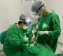 Imagem de Combo Paramentação Cirurgia Odontologica tecido = 1 Campo Paciente 2 Capotes Cirúrgico ( Verde ).