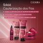 Imagem de Combo Siàge Cauterização dos Fios: Shampoo 250ml + Máscara Capilar 250ml + Condicionador 200ml