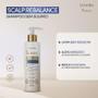 Imagem de Combo Siàge Scalp Rebalance: Shampoo 280ml + Condicionador 280ml