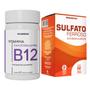 Imagem de Combo Vitamina B12 + Sulfato Ferroso Natunectar