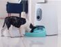 Imagem de Comedouro Automático Inteligente Câmera Câes Gatos Alexa