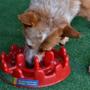 Imagem de Comedouro de Alimentação Lenta para Cães Pet Games Pet Fit Vermelho