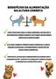 Imagem de Comedouro e Bebedouro Anti formiga duplo e ajustável para cães de porte médio Pink