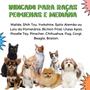 Imagem de Comedouro Individual Pet - Cachorro/Gato Madeira e Inox Elevado + Personalizaçâo