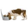 Imagem de Comedouro Italiano para cachorro United Pets Tail Com Cabo Alto Branco