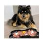 Imagem de Comedouro Lento Slodog Slow Luke1 feeder Plate - LickMat Preto
