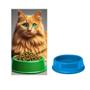 Imagem de Comedouro Para Gatos Cães 200ml Anti Formiga Tigela para