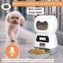 Imagem de Comedouro Programavel Automatico Cachorro Gato Pet Programa Hora Comida Alimentaçao Porçoes Viagem Passeio