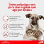 Imagem de Comfortis Elanco 560 mg para Cães de 9 a 18 Kg e Gatos de 5,4 Kg a 11kg - 1 Comprimidos