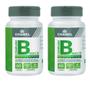 Imagem de Complexo B Max  (Vitaminas B1, B2, B3, B5, B6, B7, B9 e B12) - 2 frascos com 60 cápsulas  Chamel