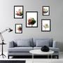 Imagem de Composição 5 quadros Flores Claras Modernas - com vidro