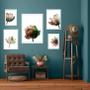 Imagem de Composição 5 Quadros Flores Claras Modernas - Com Vidro