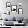 Imagem de Composição 5 Quadros Flores Claras Modernas - Com Vidro